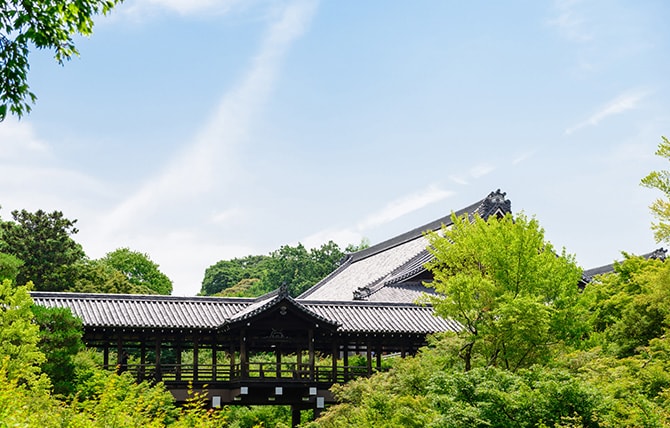 新緑の中に見える寺院